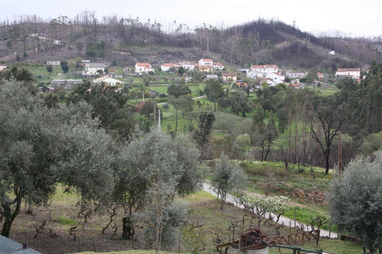 Quinta De S. Luis - Valada Figueiro Dos Vinhos Exterior foto