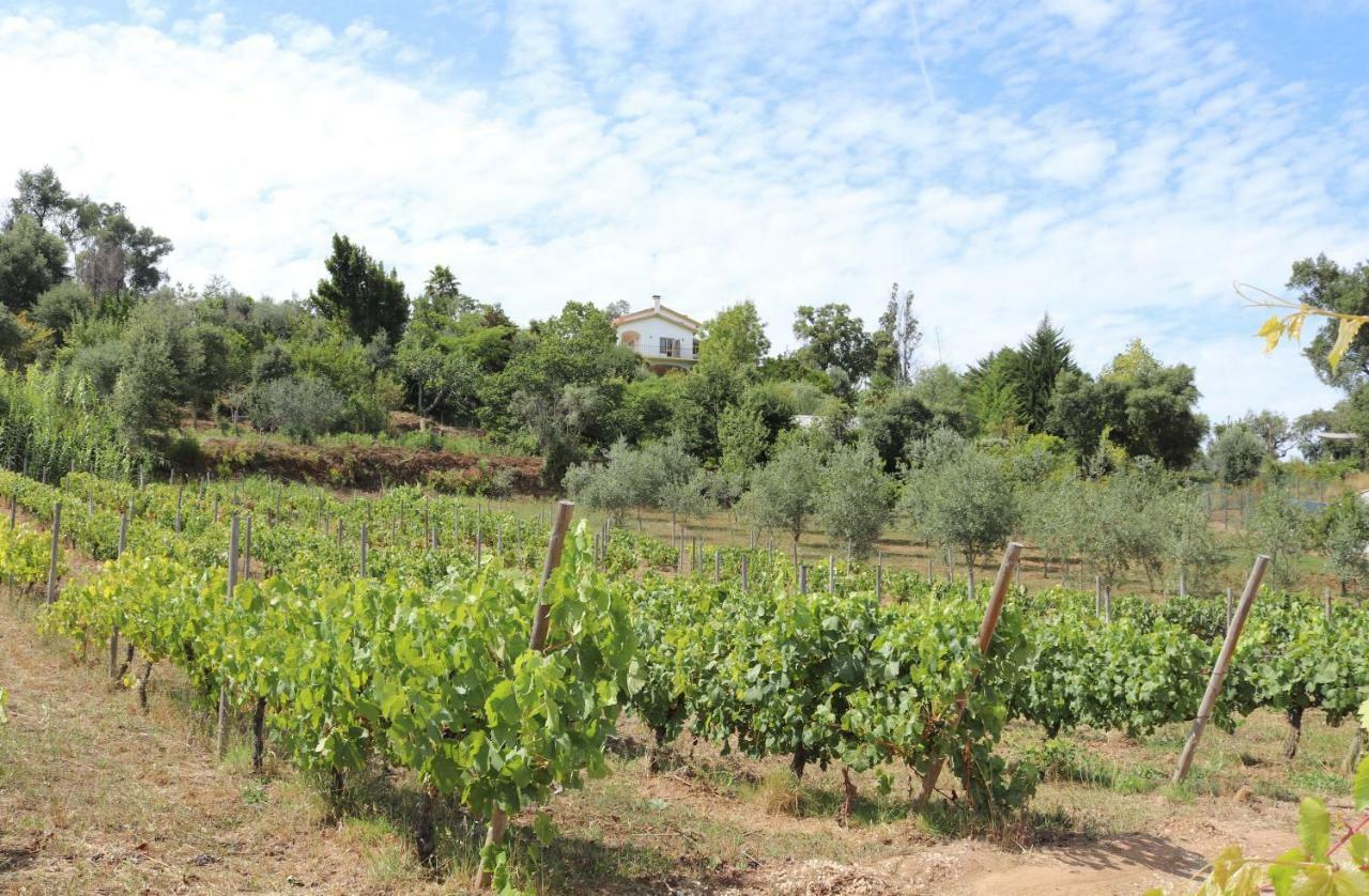 Quinta De S. Luis - Valada Figueiro Dos Vinhos Exterior foto