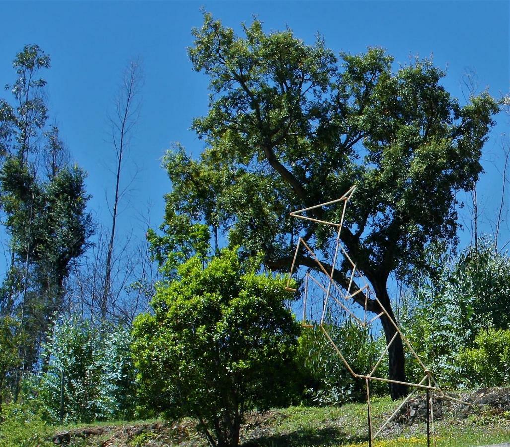 Quinta De S. Luis - Valada Figueiro Dos Vinhos Exterior foto